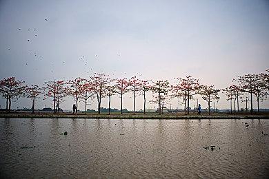 玩家要求《文明7》开发商放弃D加密：影响我玩游戏